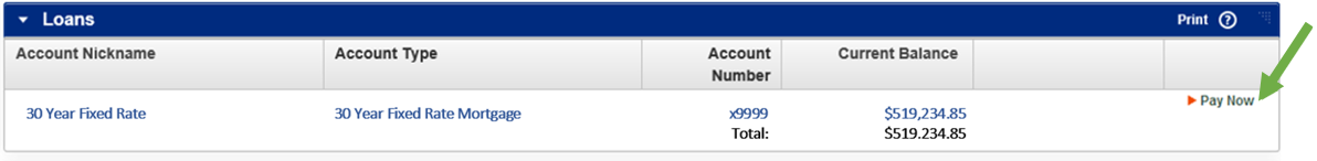 Online Loan Payment Image with green arrow pointing to Pay Now